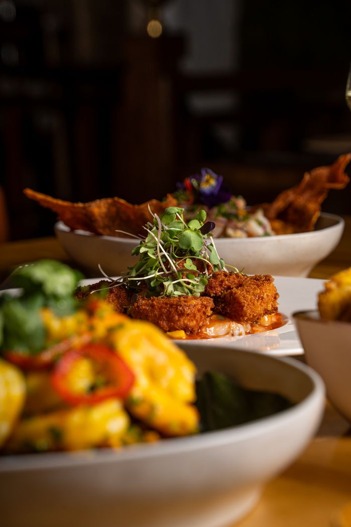 services-01 Delicious crispy fried dish garnished with fresh microgreens, perfect for gourmet dining.