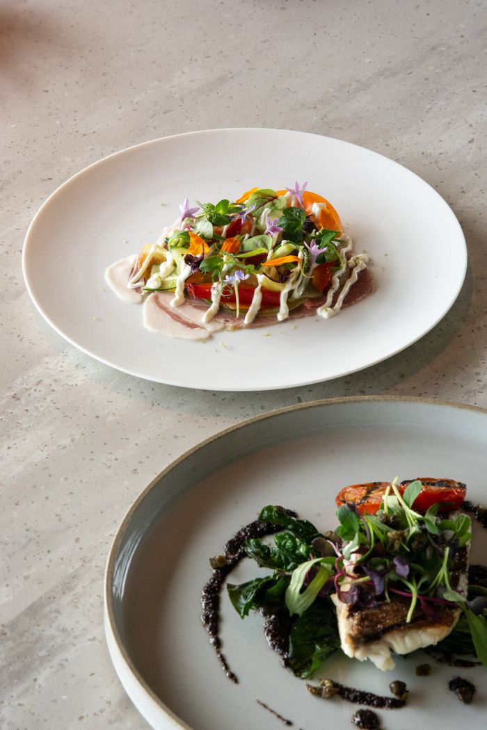 home-img Artfully plated dishes highlighting fine dining in a Tokyo cafe, showcasing fresh ingredients and artistic presentation.